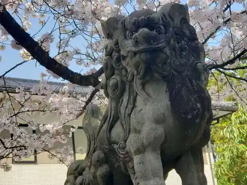 越中一宮 髙瀬神社の狛犬