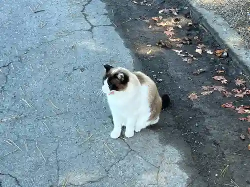 前山寺(長野県)