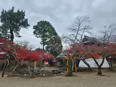 新薬師寺(奈良県)