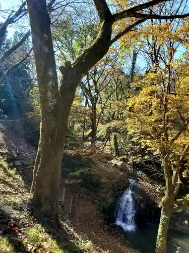 大峯不動尊の自然