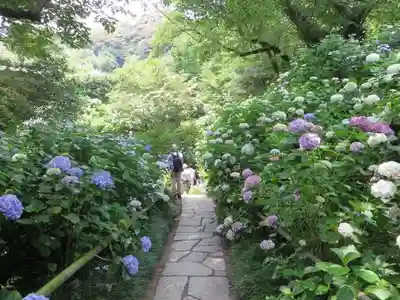矢田寺(奈良県)