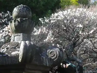 英勝寺のその他建物