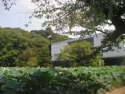 鶴岡八幡宮のその他建物