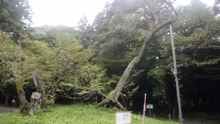 磐椅神社(福島県)