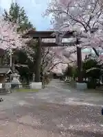 冨士御室浅間神社の{uncategorized: "未分類", other: "その他", undefined: "問題あり", building: "その他建物", grave: "お墓", sacred_gate: "鳥居", guardian: "狛犬", statue: "像", buddha: "仏像", history: "歴史", nature: "自然", garden: "庭園", animal: "動物", pagoda: "塔", temizu: "手水舎", mountain_gate: "山門・神門", sanctuary: "本殿・本堂", subordinate: "末社・摂社", art: "芸術", scenery: "景色", jizo: "地蔵", ema: "絵馬", goshuin: "御朱印", omikuji: "おみくじ", items: "授与品その他", amulet: "お守り", goshuincho: "御朱印帳", eats: "食事", festival: "お祭り", votive_dance: "神楽", shichigosan: "七五三参", wedding: "結婚式", experience: "体験その他", initially: "初詣", around: "周辺", anti_infection: "感染症対策"}