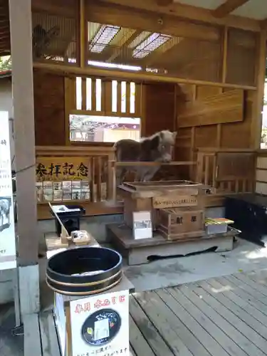 平塚八幡宮(神奈川県)