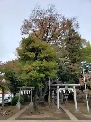 豊玉氷川神社の末社・摂社