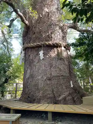 新熊野神社(京都府)