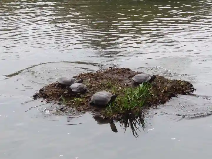 三渓園天満宮(神奈川県)