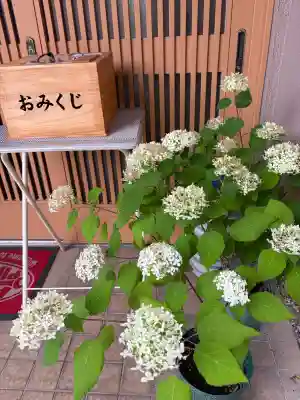 日吉八王子神社(東京都)