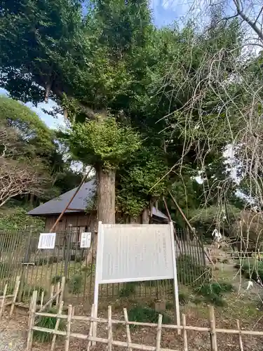 村山浅間神社(静岡県)