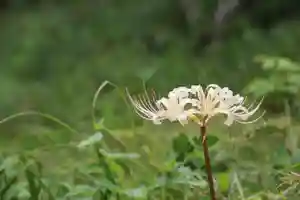 国宝 大法寺(長野県)(2023年09月08日(金) 16時14分56秒投稿)
