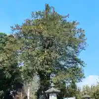 豊景神社の自然