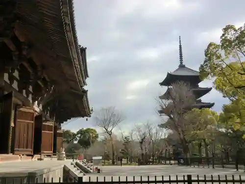 東寺（教王護国寺）(京都府)