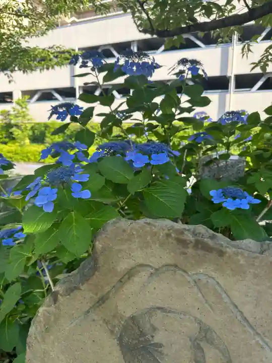 亀戸浅間神社(東京都)