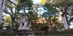 敷地神社（わら天神宮）の狛犬