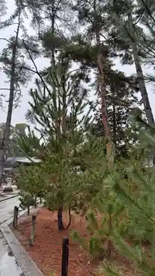 今宮神社(京都府)