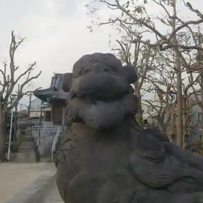 白髭神社の狛犬