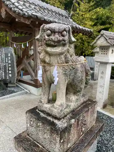 美多彌神社の狛犬