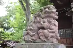 行田八幡神社の狛犬