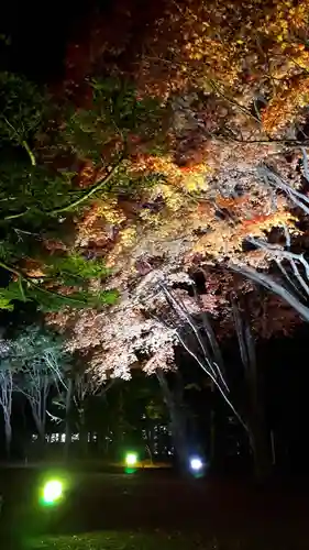 北広島市総鎮守　廣島神社のお祭り