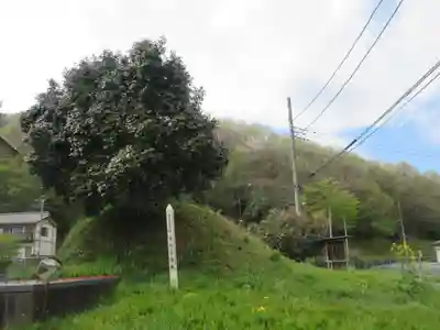 金崎神社(埼玉県)