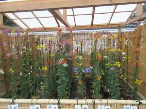 本願寺（西本願寺）の自然