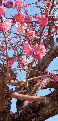 女化神社(茨城県)