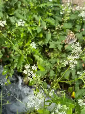 諏訪大社上社前宮(長野県)