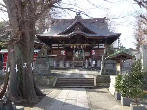 滝野川八幡神社の本殿・本堂