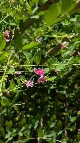 梨木神社(京都府)