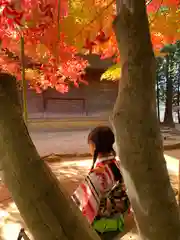 滑川神社 - 仕事と子どもの守り神(福島県)