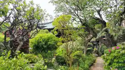 収玄寺(神奈川県)
