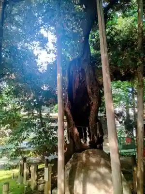 金王八幡宮(東京都)