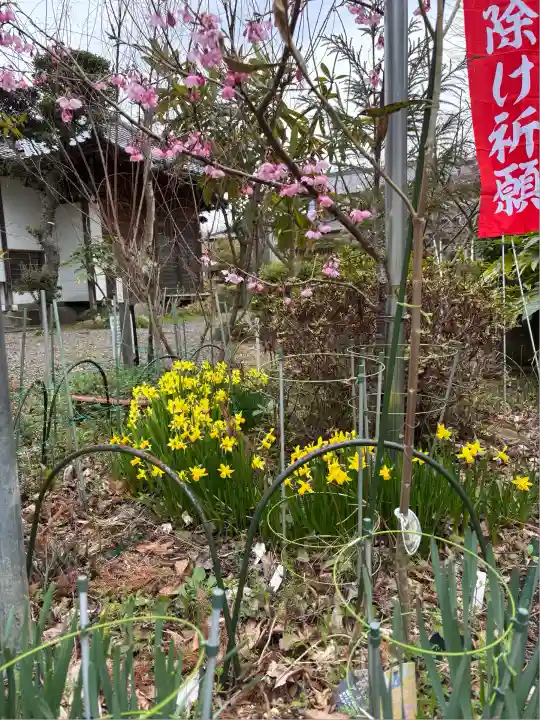 岡部春日神社~👹鬼門よけの🌺花咲く🌺やしろ~(福島県)