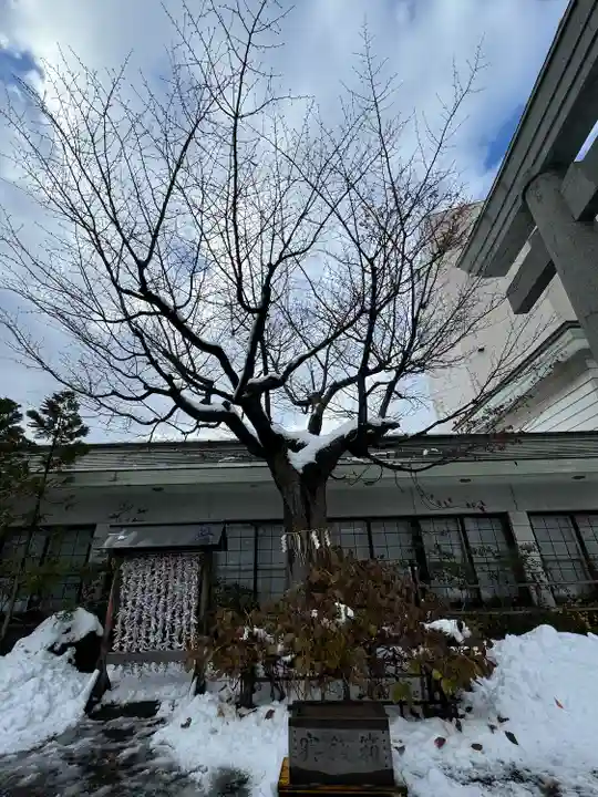 廣田神社~病厄除守護神~(青森県)