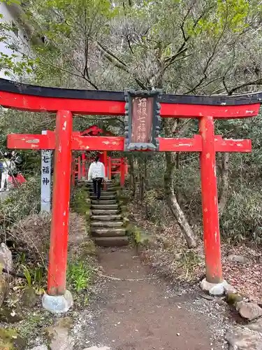 箱根神社の鳥居