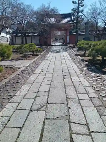 真正極楽寺（真如堂）の山門・神門