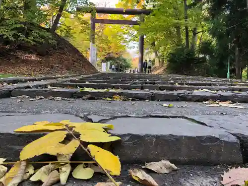 北海道神宮(北海道)