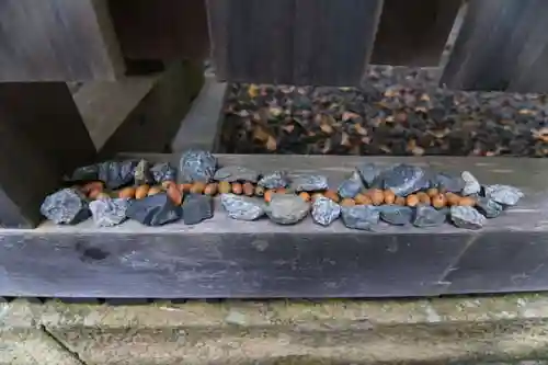 阿久津「田村神社」（郡山市阿久津町）旧社名：伊豆箱根三嶋三社の自然