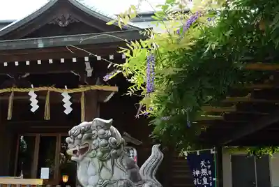 お三の宮日枝神社(神奈川県)