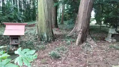 手子后神社の自然