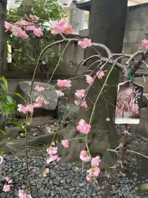 サムハラ神社(大阪府)