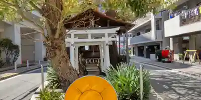 楠木大神(大阪府)