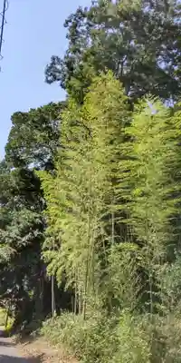 三十番神社(千葉県)