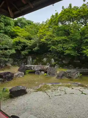 高台寺（高台寿聖禅寺・高臺寺）(京都府)