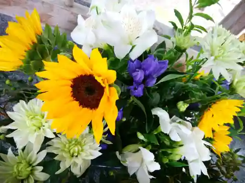 彌彦神社　(伊夜日子神社)の手水舎