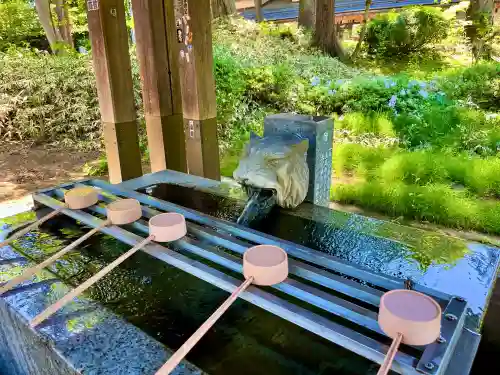 上杉神社の{uncategorized: "未分類", other: "その他", undefined: "問題あり", building: "その他建物", grave: "お墓", sacred_gate: "鳥居", guardian: "狛犬", statue: "像", buddha: "仏像", history: "歴史", nature: "自然", garden: "庭園", animal: "動物", pagoda: "塔", temizu: "手水舎", mountain_gate: "山門・神門", sanctuary: "本殿・本堂", subordinate: "末社・摂社", art: "芸術", scenery: "景色", jizo: "地蔵", ema: "絵馬", goshuin: "御朱印", omikuji: "おみくじ", items: "授与品その他", amulet: "お守り", goshuincho: "御朱印帳", eats: "食事", festival: "お祭り", votive_dance: "神楽", shichigosan: "七五三参", wedding: "結婚式", experience: "体験その他", initially: "初詣", around: "周辺", anti_infection: "感染症対策"}