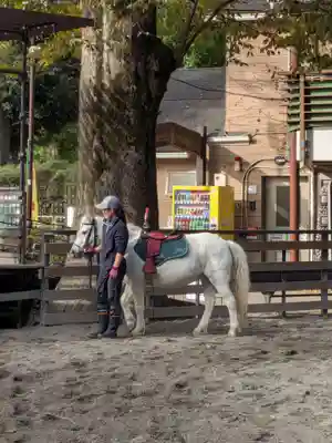 明治神宮(東京都)