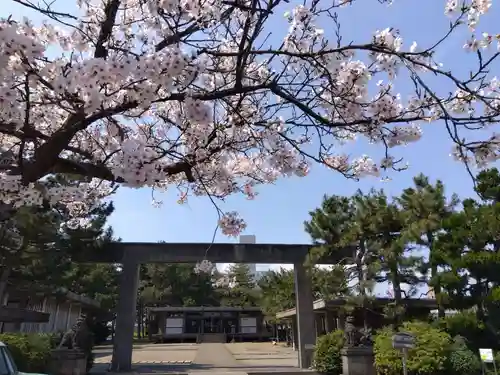 福井神社(福井県)